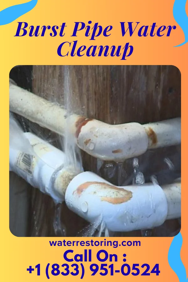 Burst Pipe Water Cleanup in Linwood, NE