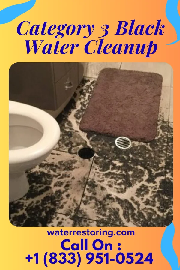 Category 3 Black Water Cleanup in Linwood, NE