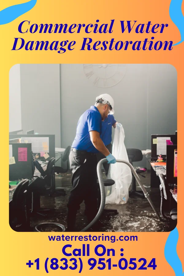 Commercial Water Damage Restoration in Linwood, NE
