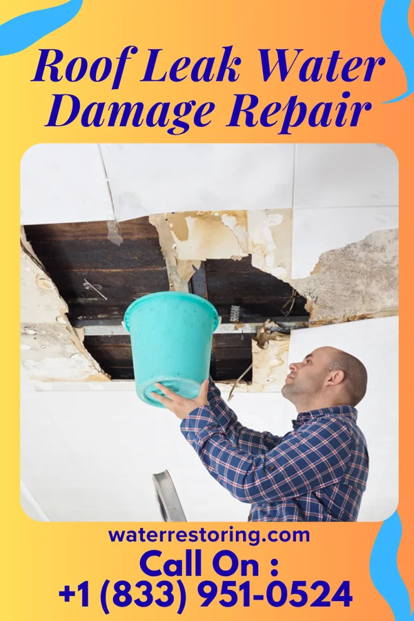 Roof Leak Water Damage Repair in Linwood, NE