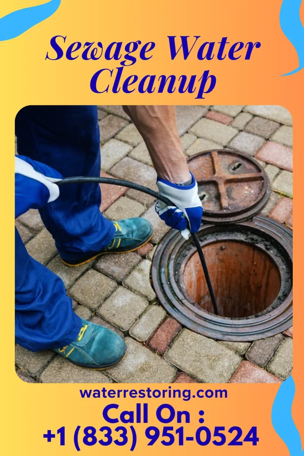 Sewage Water Cleanup in Linwood, NE